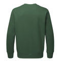 Tannengrün - Back - Anthem - Sweatshirt Baumwolle aus biologischem Anbau für Herren-Damen Unisex