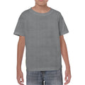 Graphit - Front - Gildan - "Heavy Cotton" T-Shirt für Kinder
