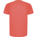 Fluoreszierende Koralle - Back - Roly - "Imola" T-Shirt für Herren - Sport kurzärmlig