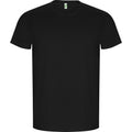 Schwarz - Front - Roly - "Golden" T-Shirt für Herren  kurzärmlig