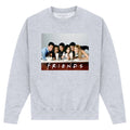 Grau meliert - Front - Friends - "Sundays" Sweatshirt für Herren-Damen Unisex