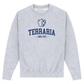 Grau meliert - Front - Terraria - Sweatshirt für Herren-Damen Unisex