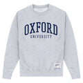 Grau meliert - Front - University Of Oxford - Sweatshirt für Herren-Damen Unisex