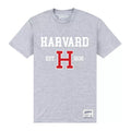 Grau meliert - Front - Harvard University - "Est 1636" T-Shirt für Herren-Damen Unisex