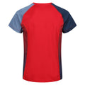 Leuchtend Rot-Dunkel-Jeansblau - Back - Regatta - "Corballis" T-Shirt für Herren