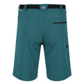 Pazifik Grün - Pack Shot - Regatta - "Xert III" Shorts für Herren