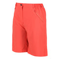 Neon-Pfirsichfarben - Side - Regatta - "Xert" Shorts für Damen