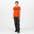 Orange - Back - Regatta - "Bosley V" T-Shirt für Kinder