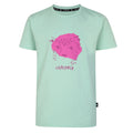 Graue Jade - Front - Dare 2B - "Trailblazer" T-Shirt für Kinder