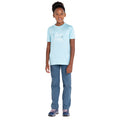Blaues Elixier - Pack Shot - Dare 2B - "Amuse" T-Shirt für Kinder