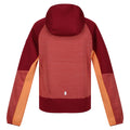Mineral Rot-Rot - Back - Regatta - "Prenton II" Softshelljacke mit Kapuze für Kinder