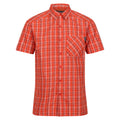 Rost-Orange - Front - Regatta - "Kalambo VII" Hemd für Herren  kurzärmlig