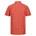 Rost-Orange - Back - Regatta - "Kalambo VII" Hemd für Herren  kurzärmlig