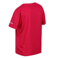 Pinker Trank - Lifestyle - Regatta - "Alvarado VII" T-Shirt für Kinder