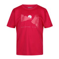 Pinker Trank - Front - Regatta - "Alvarado VII" T-Shirt für Kinder