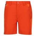 Rost-Orange-Leuchtend Orange - Front - Regatta - "Sorcer Mountain III" Shorts für Kinder