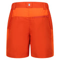Rost-Orange-Leuchtend Orange - Back - Regatta - "Sorcer Mountain III" Shorts für Kinder