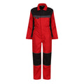 Rot-Schwarz - Front - Regatta - Jumpsuit Schnappverschluss für Kinder