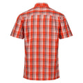 Rost-Orange - Back - Regatta - "Mindano VII" Hemd für Herren  kurzärmlig