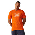 Rost-Orange - Lifestyle - Regatta - "Cline VIII" T-Shirt für Herren