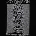 Schwarz - Back - Joy Division - "Unknown Pleasures" T-Shirt für Damen