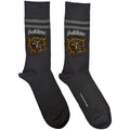 Anthrazit-Gelb - Front - Sublime - Socken für Herren-Damen Unisex