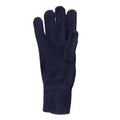 Marineblau - Front - Regatta Unisex Winter Strick-Handschuhe
