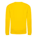 Sonnengelb - Back - AWDis Just Hoods Kinder Pullover - Sweatshirt, unifarben