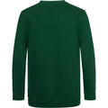 Grün - Back - AWDis Academy Kinder Junior Schul Sweatshirt mit V-Ausschnitt