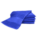 Echt Blau - Back - A&R Towels Bedruck -Mich Badetuch
