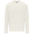 Vanille light - Front - Awdis - Sweatshirt für Herren