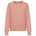 Rosa-Grau - Front - Awdis - Sweatshirt für Damen