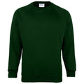 Flaschengrün - Front - Maddins Herren Sweatshirt - Pullover mit Rundhalsausschnitt Coloursure