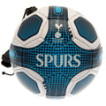 Marineblau-Weiß - Front - Tottenham Hotspur FC - "Skills" Trainingsball Mini
