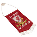 Rot-Weiß-Gelb - Back - Liverpool FC - Wimpel "This Is Anfield", Mini