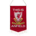 Rot-Weiß-Gelb - Front - Liverpool FC - Wimpel "This Is Anfield", Mini