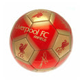 Rot-Gold - Side - Liverpool FC Unterschriften Skill Ball