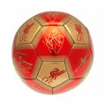 Rot-Gold - Lifestyle - Liverpool FC Unterschriften Skill Ball
