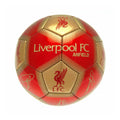 Rot-Gold - Front - Liverpool FC Unterschriften Skill Ball