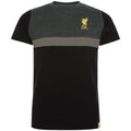 Schwarz-Anthrazit-Gold - Front - Liverpool FC - T-Shirt für Kinder