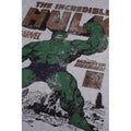 Grau meliert - Side - Hulk - "Rage" T-Shirt für Herren