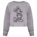Grau - Front - Disney - Kurzes Sweatshirt für Damen
