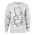 Mondstaub-Grau - Front - Winnie the Pooh - Sweatshirt für Damen