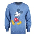 Graublau - Front - Disney - "Strides" Sweatshirt für Damen