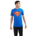 Königsblau-Rot - Lifestyle - Superman - T-Shirt für Herren
