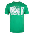 Irisch-Grün-Weiß - Front - Hulk - T-Shirt für Herren