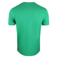 Irisch-Grün-Weiß - Back - Hulk - T-Shirt für Herren