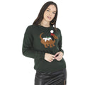 Tiefgrün - Front - Brave Soul - Pullover für Damen - weihnachtliches Design