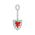 Silber-Rot-Grün - Front - Wales - Schlüsselanhänger Wappen