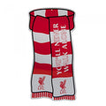 Front - Liverpool FC offizielles Show Your Colours Fenster-Schild